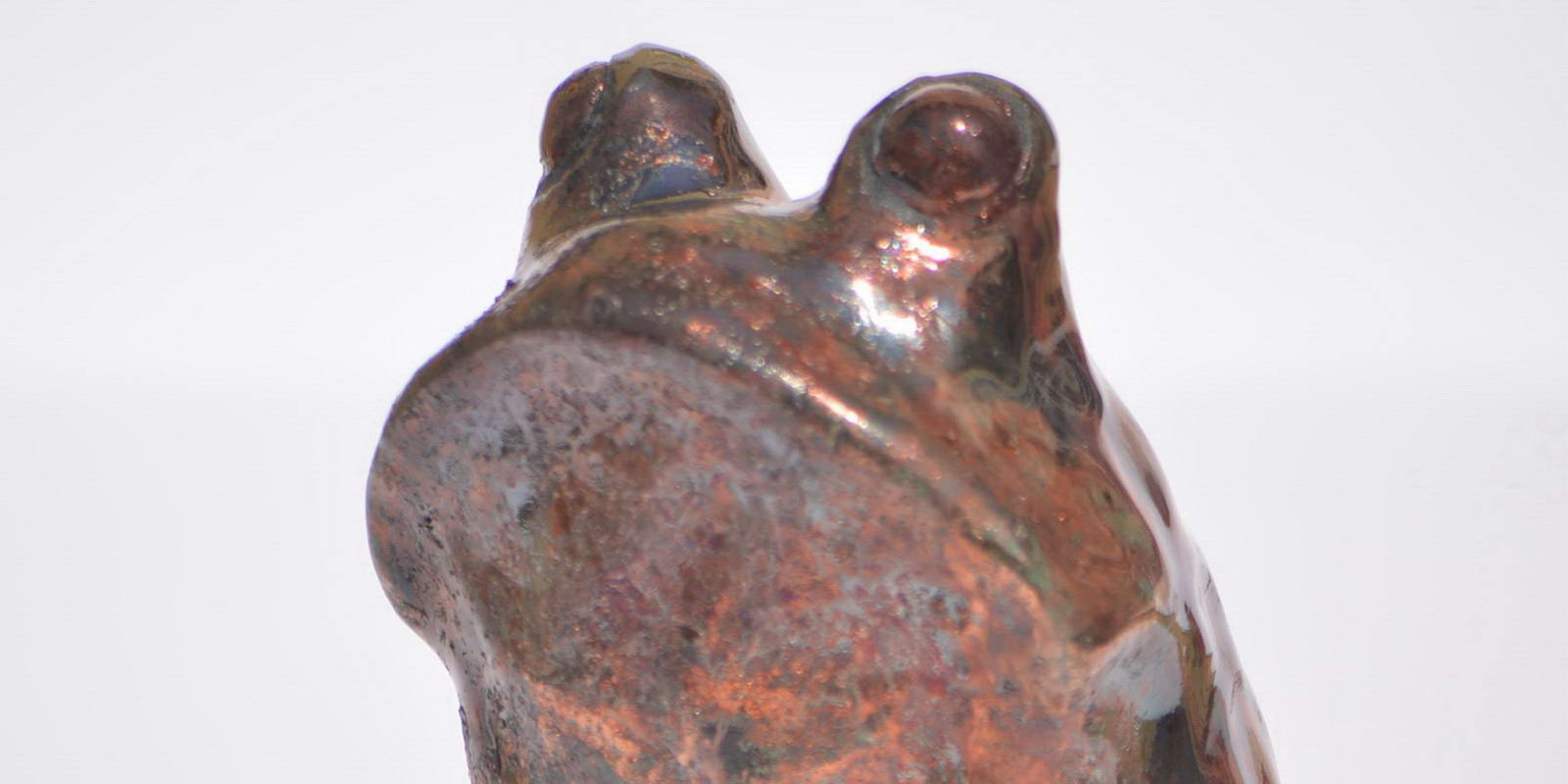 frog10eBIG