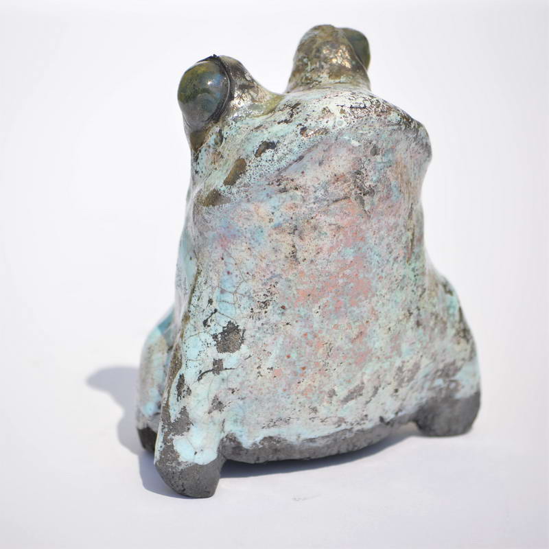 frog11a
