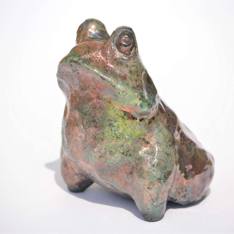 frog12a