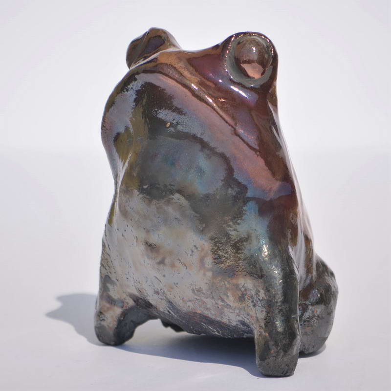 frog14a