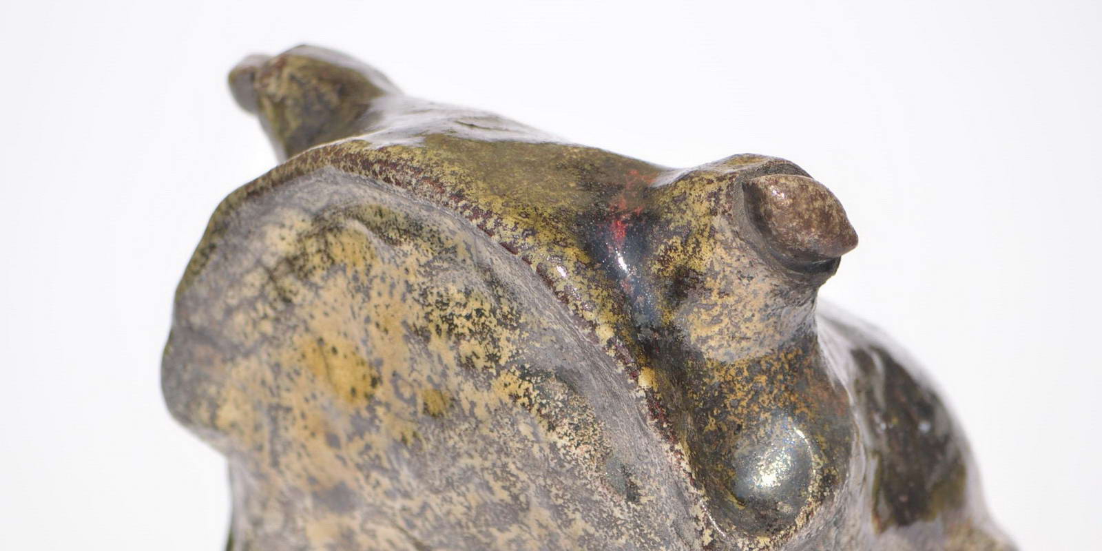frog15aBIG