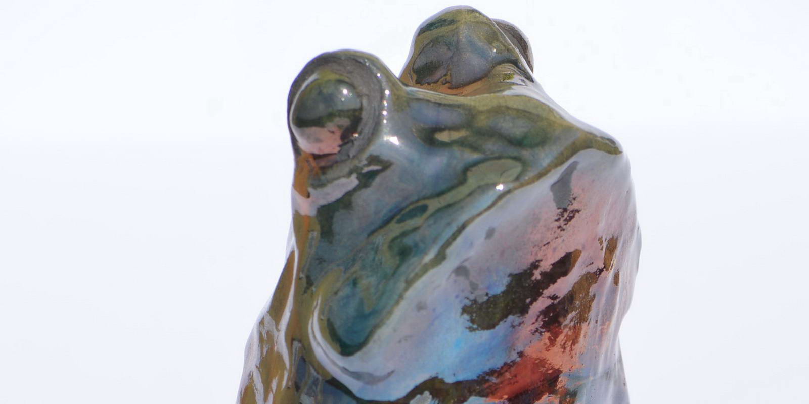 frog1aBIG