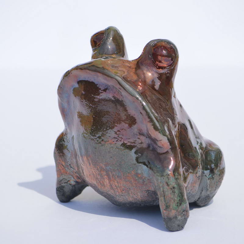 frog5a