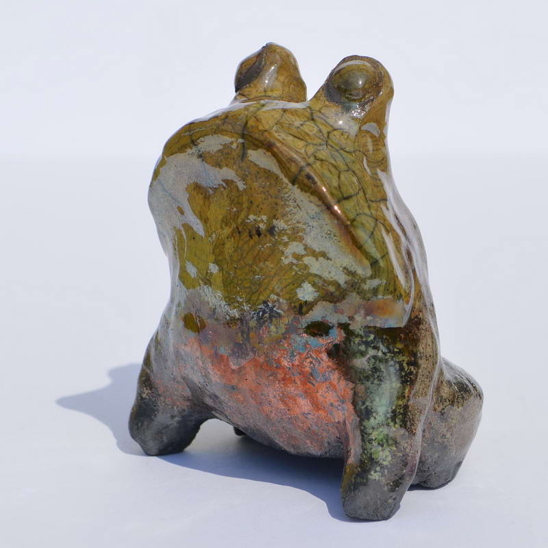 frog6a