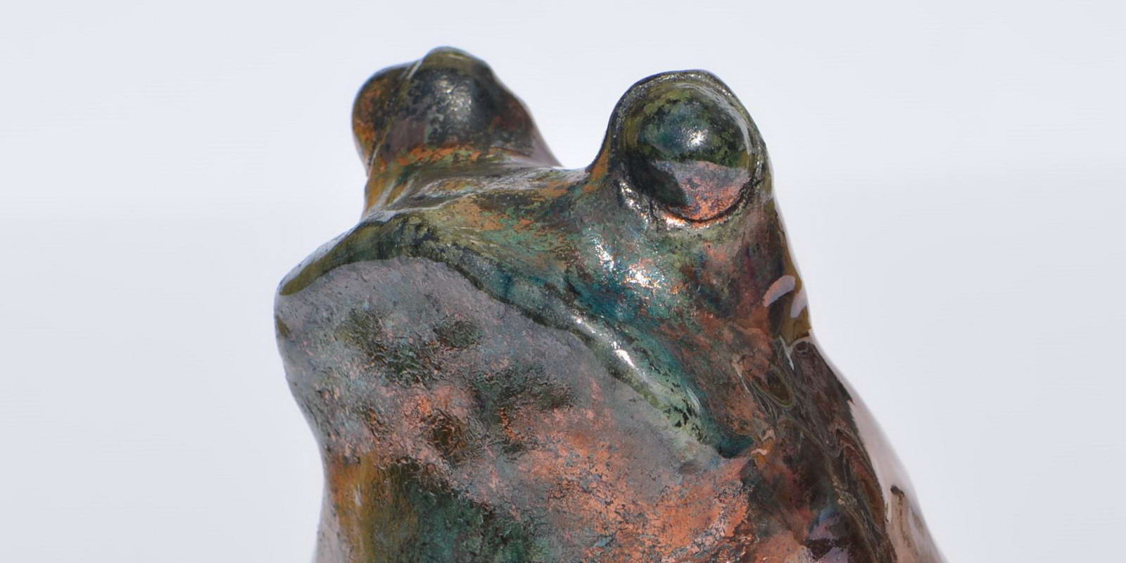 frog7aBIG
